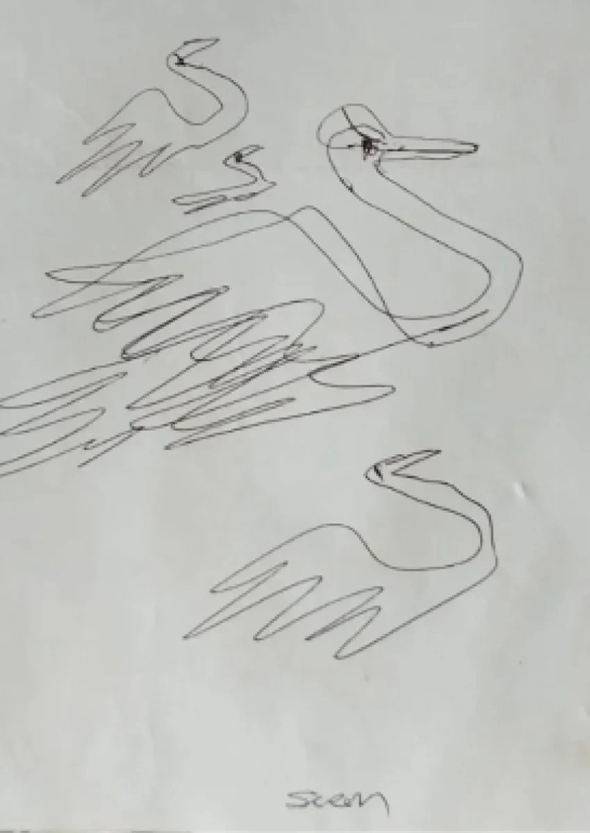 Projeto Voo do Cisne - Siron Franco