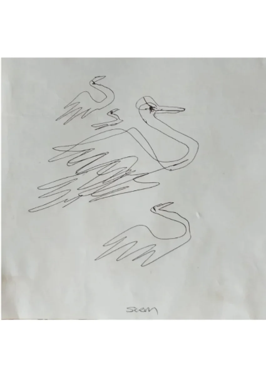 Projeto Voo do Cisne - Siron Franco